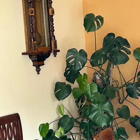 Casa Rita 博尔米奥