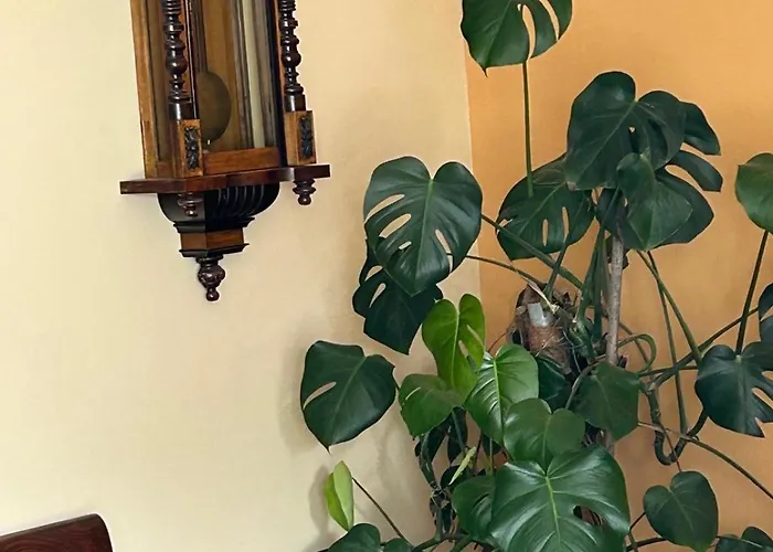 Casa Rita 博尔米奥